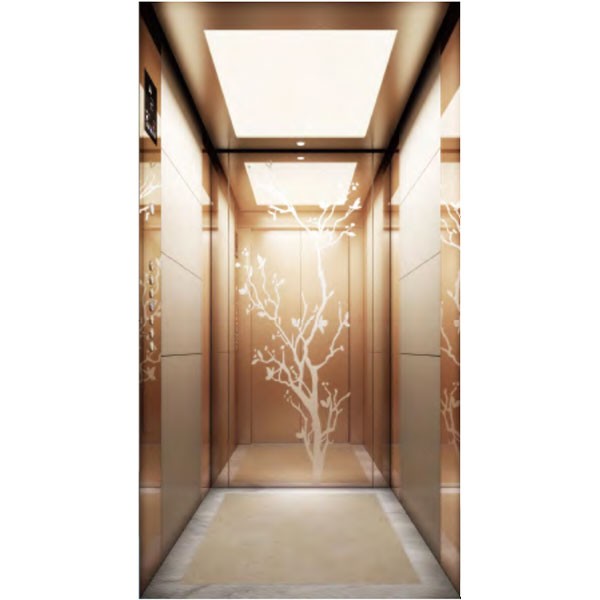 HLC-20-19 Passenger Elevator